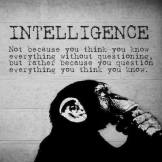 intellignence question all everything you know chimp monkey