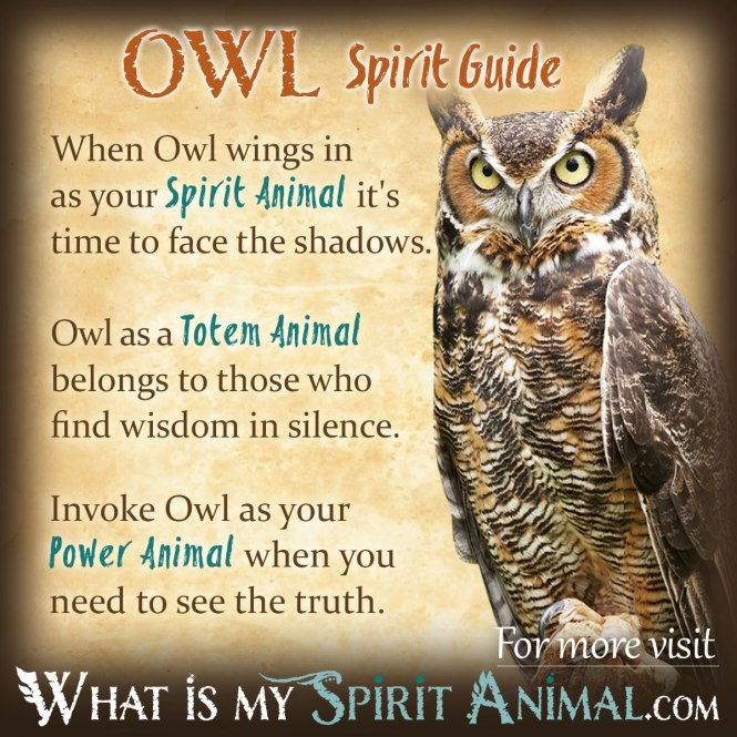 owl-spirit-totem-power-animal-symbolism-meaning-1200x1200.jpg